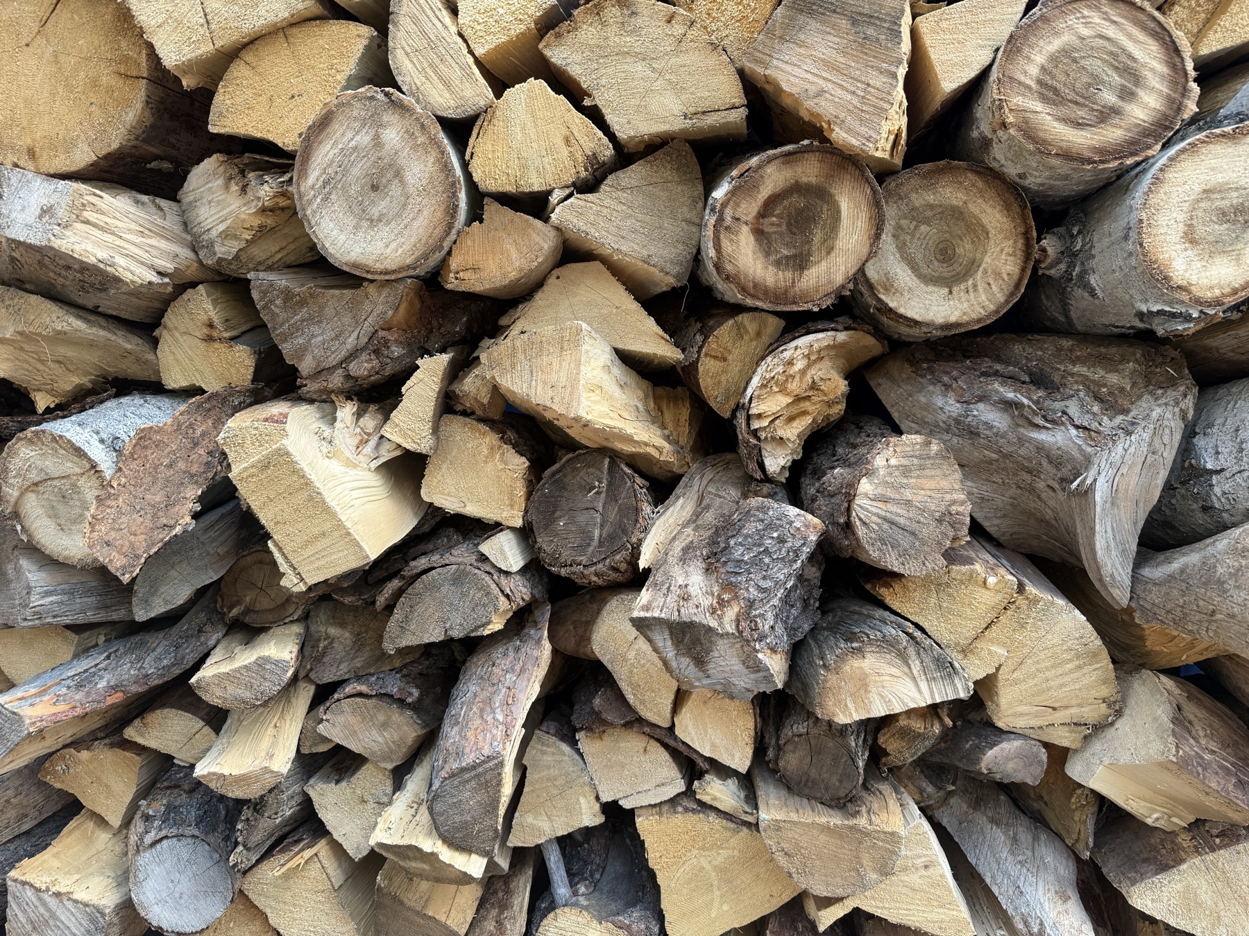 Close-up of split firewood ends showing dry, checked grain and clean splits